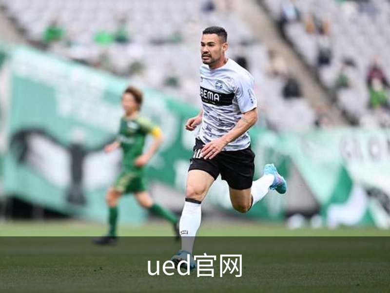 ued官网概况
